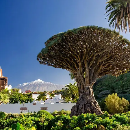 Eden Luxury La Bicuda De With Pool